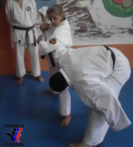 Curso Ciudad Real 19 oct 13 - 6