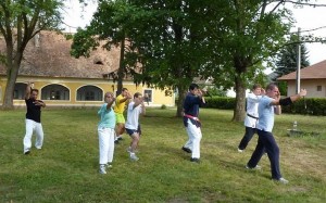 Curso Internacional Balatonkeresztur jul-11 - 9