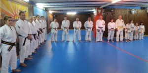 Curso Mieres 1-jun-13 - 1