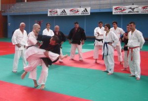 Curso Nacional Javier Fernández-Bravo 23-11-13 - 3