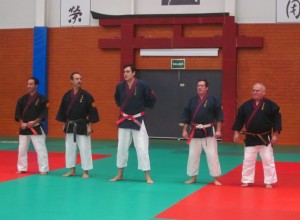 Curso Nacional Javier Fernández-Bravo 23-11-13 - 4