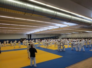 Curso Sensei Wazishu Paris abr-13 - 3