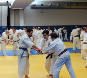 Curso Sensei Wazishu Paris abr-13 - 4