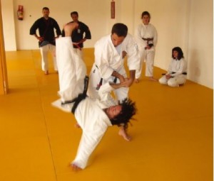 Curso regional 18 mayo 13 - 1